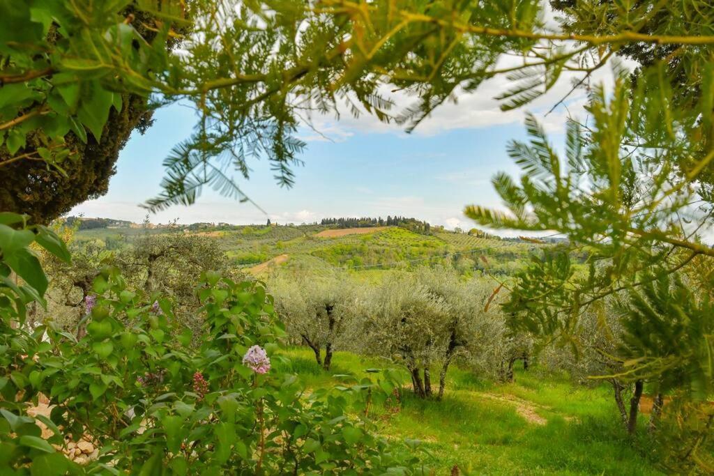 Appartamento Con Vista Panoramica In Chianti San Donnino  Buitenkant foto